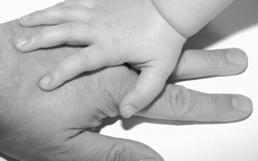 guarda y custodia rm abogados alicante